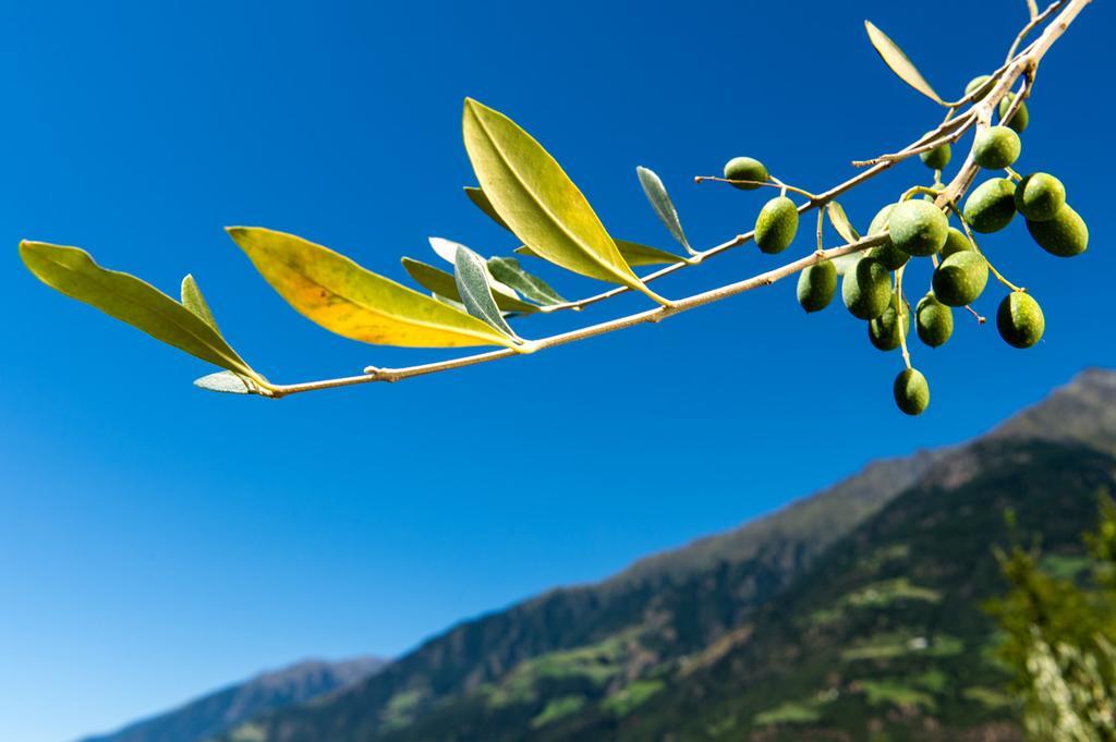 فيلا Biohof Niedereben رابلا المظهر الخارجي الصورة