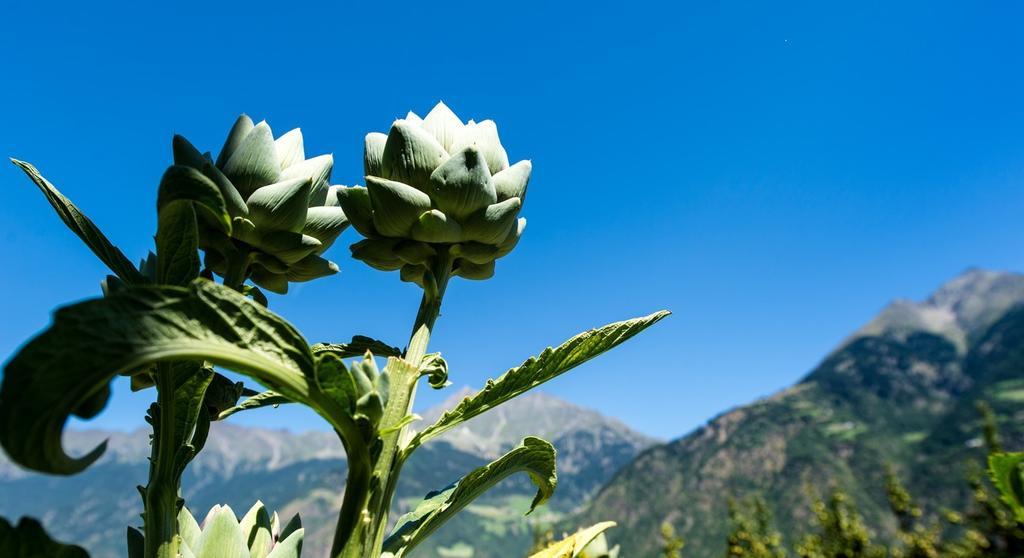 فيلا Biohof Niedereben رابلا المظهر الخارجي الصورة