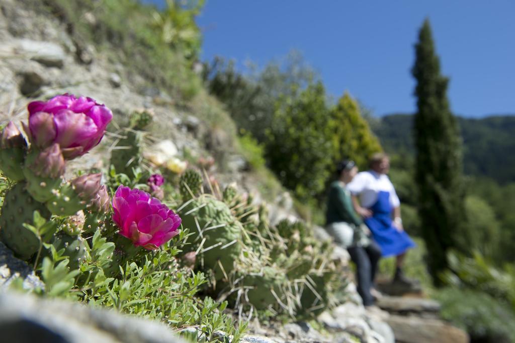 فيلا Biohof Niedereben رابلا المظهر الخارجي الصورة